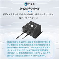 WX-DN1隧道光強度監(jiān)測儀