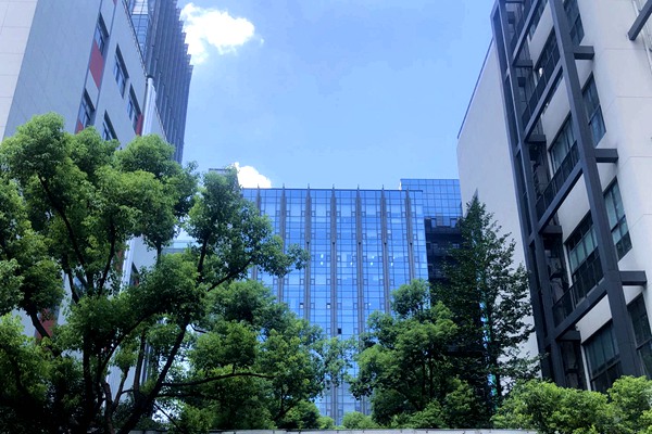 2025全球數(shù)字經(jīng)濟大會拉薩高層論壇成功舉辦！共筑高原數(shù)智發(fā)展新未來