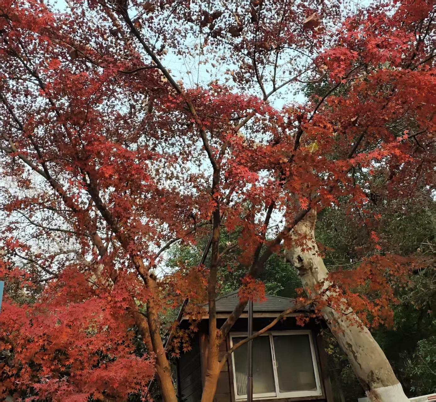 4月1日起，一批国家标准将实施