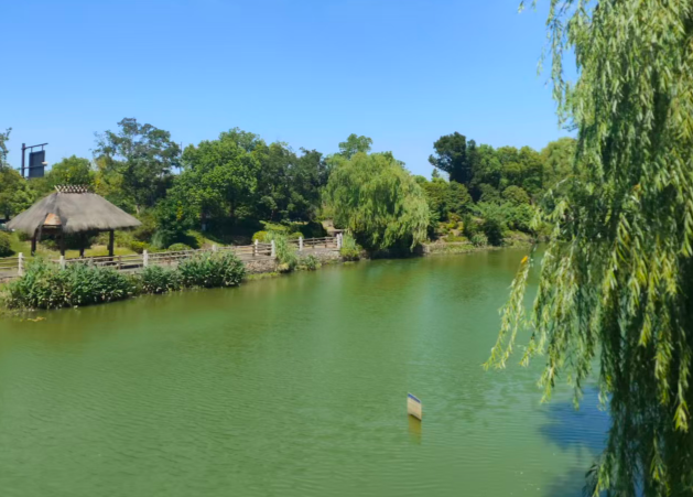 深圳新添“环保智慧哨兵”！全国首个污染源智慧监测实验室进入试运行