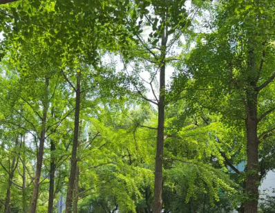 一图读懂！《上海市推动产业互联网平台赋能产业发展行动方案（2026-2028年）》