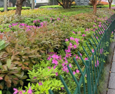 性能拉满！ABB机器人推出高速PoWa&trade;协作机器人系列新型号