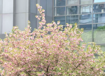 第87届中国教育装备展示会精彩不断 企业放大招