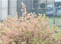 第87屆中國(guó)教育裝備展示會(huì)精彩不斷 企業(yè)放大招