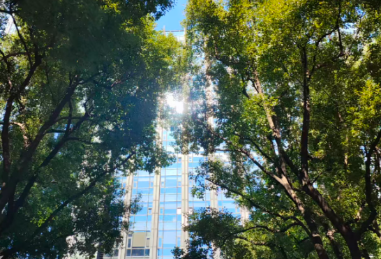 《中国噪声污染防治报告（2026）》发布