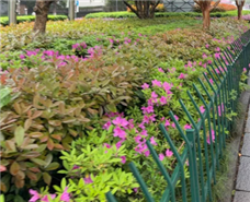 �ӡ����족�������족���п���ⳬ���ں�ê��AI�����ִ���