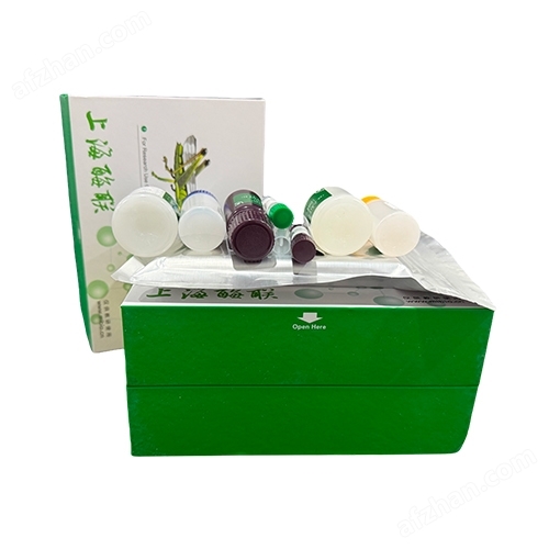 Kit nacional de Caspasa 7 (casp7) para personas