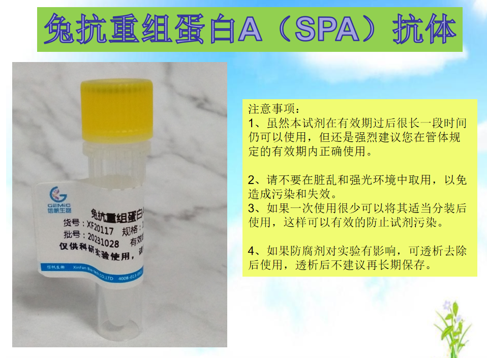 兔抗重組蛋白A（SPA）抗體使用注意事項(xiàng)