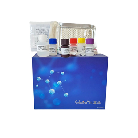 上海晶抗生物羊ELISA試劑盒特惠活動(dòng)開始啦